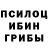 Псилоцибиновые грибы мицелий Svitlana Tereshchuk