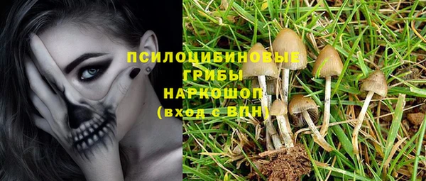 мяу мяу мука Новочеркасск