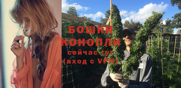 дурь Лагань