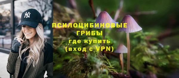 первитин Ладушкин