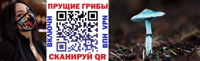 Галлюциногенные грибы GOLDEN TEACHER  купить наркоту  Усть-Джегута 