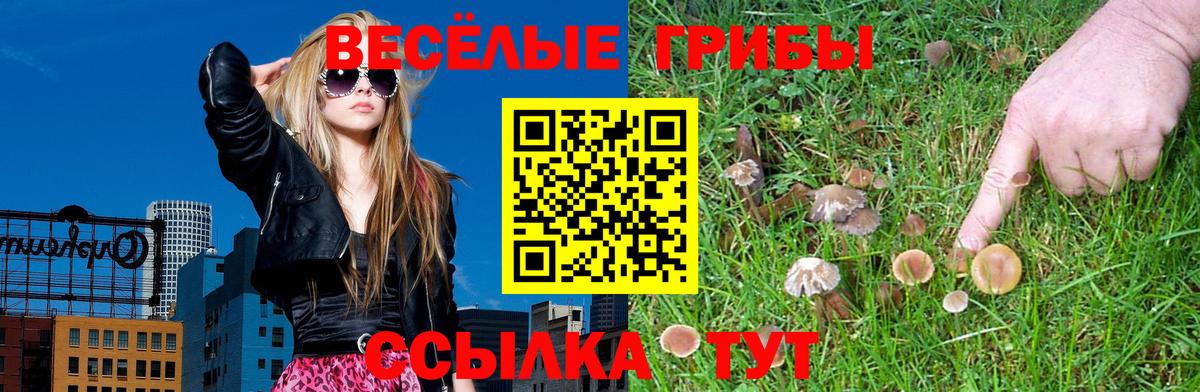 Усть-Джегута  Галлюциногенные грибы мухоморы  Вход с VPN 