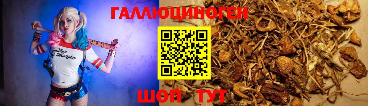 Псилоцибиновые грибы MAGIC MUSHROOMS Усть-Джегута